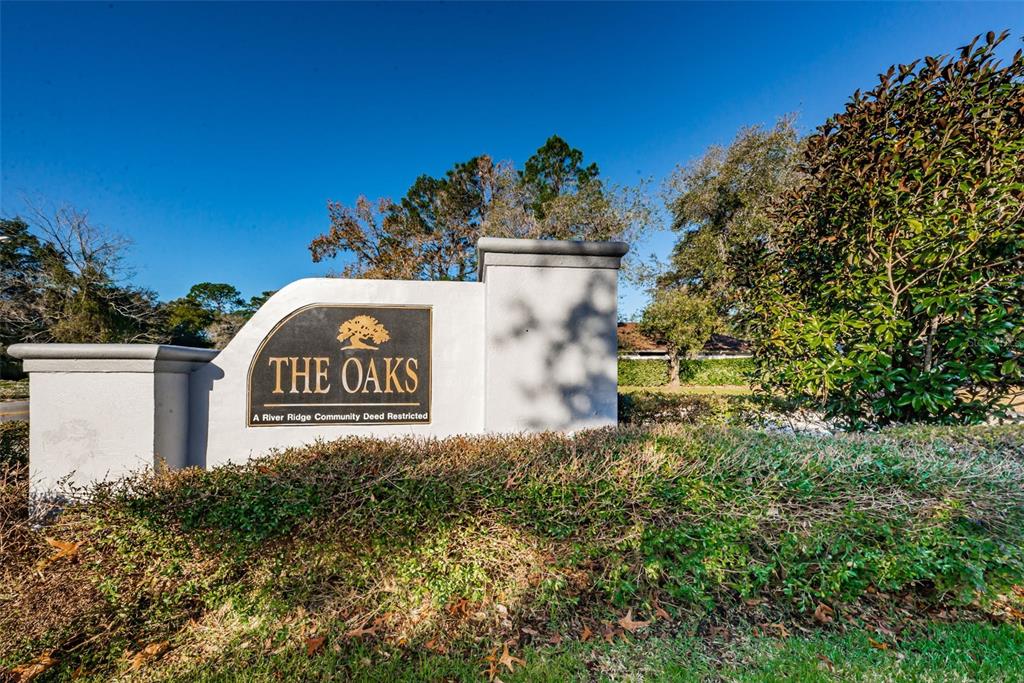 7745 Barclay Road New Port Richey, FL 34654 - Photo 45 of 58 Gallery Image 45