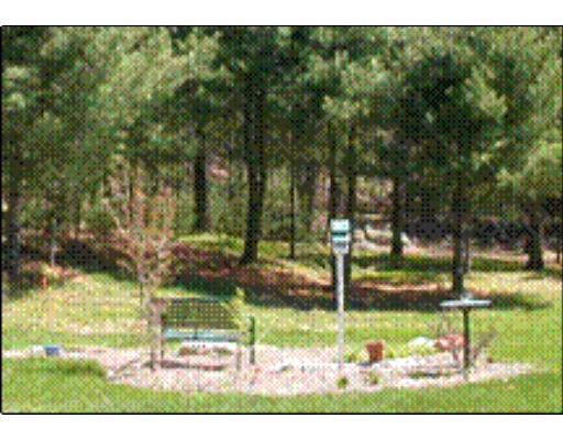 1081 Hill Road Boxborough, MA 01719 - Photo 4 of 8 a view of a park