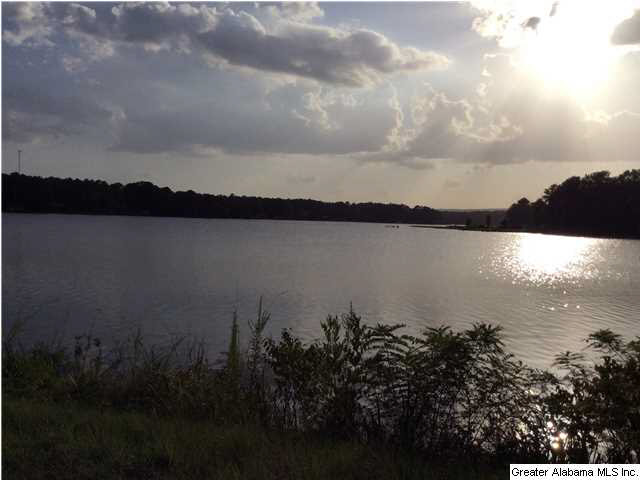 62 Morgan Road Ashville, AL 35953 - Photo 15 of 16