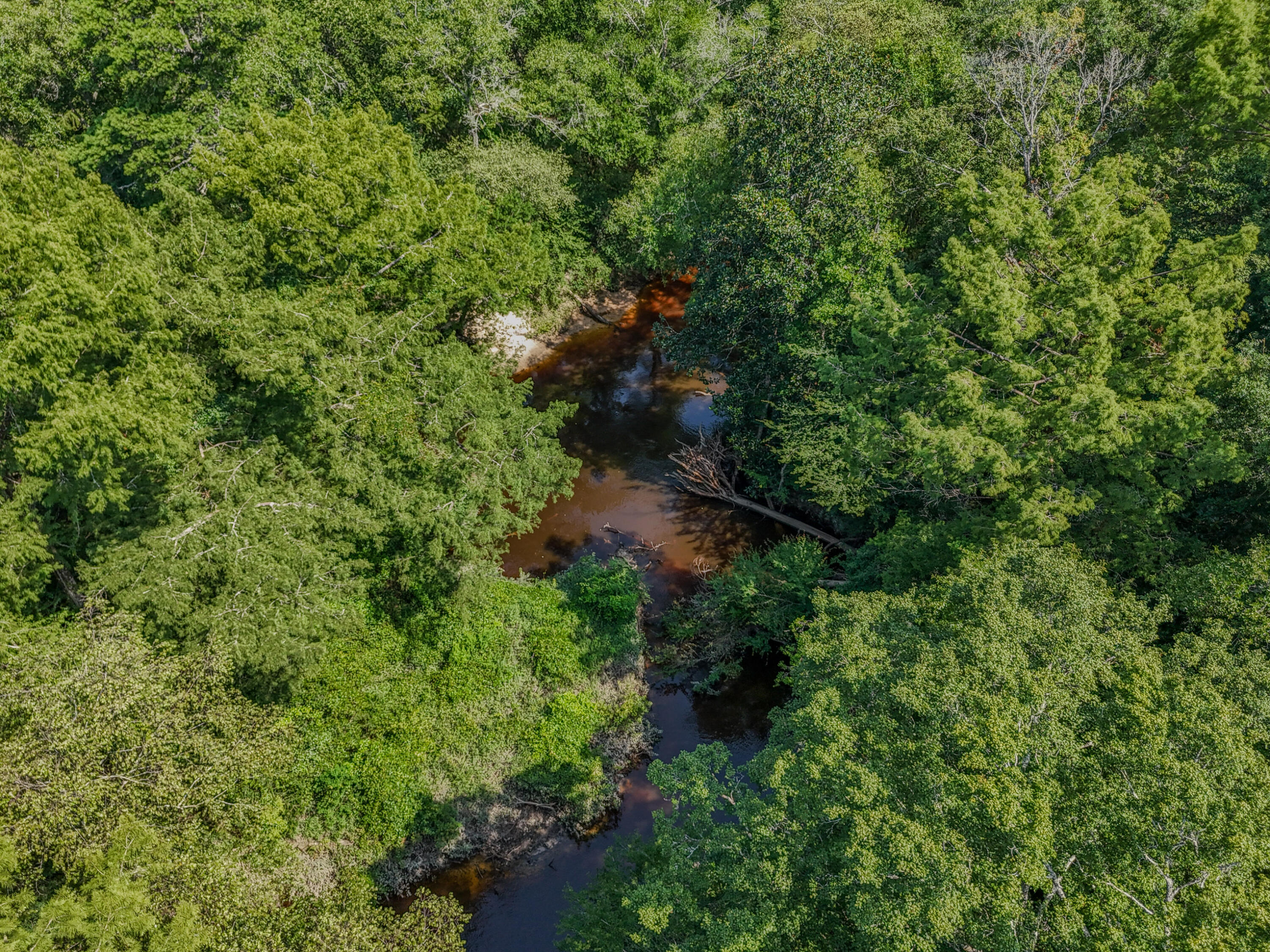 3128 County Road 10 Samson, AL 36477 - Photo 45 of 67 DJI_20260630231916_0046_D-2