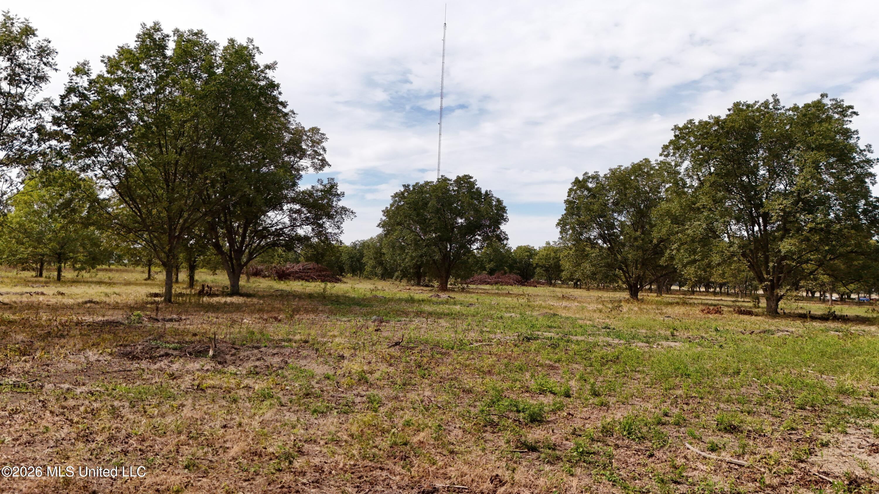 Interstate Road Shaw, MS 38773 - Photo 4 of 31 DJI_20260926154918_0643_D