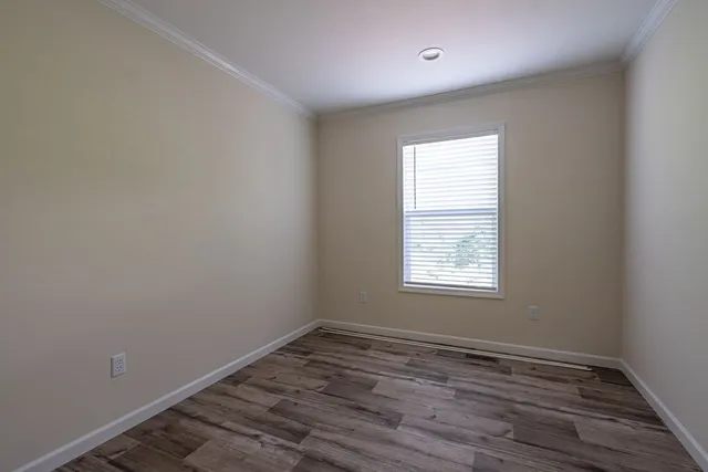 a view of a forest with trees in the background