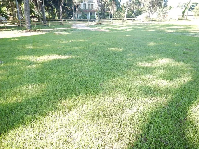 a garden view with a garden