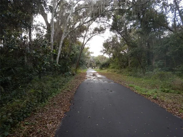 a view of outdoor space and trees