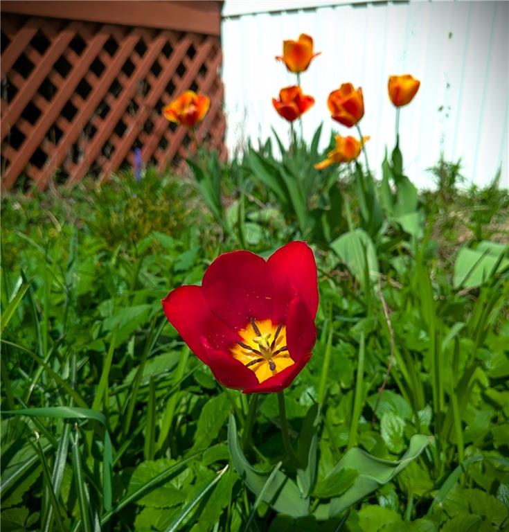 401 Silver Lane Butler, PA 16001 - Photo 6 of 28