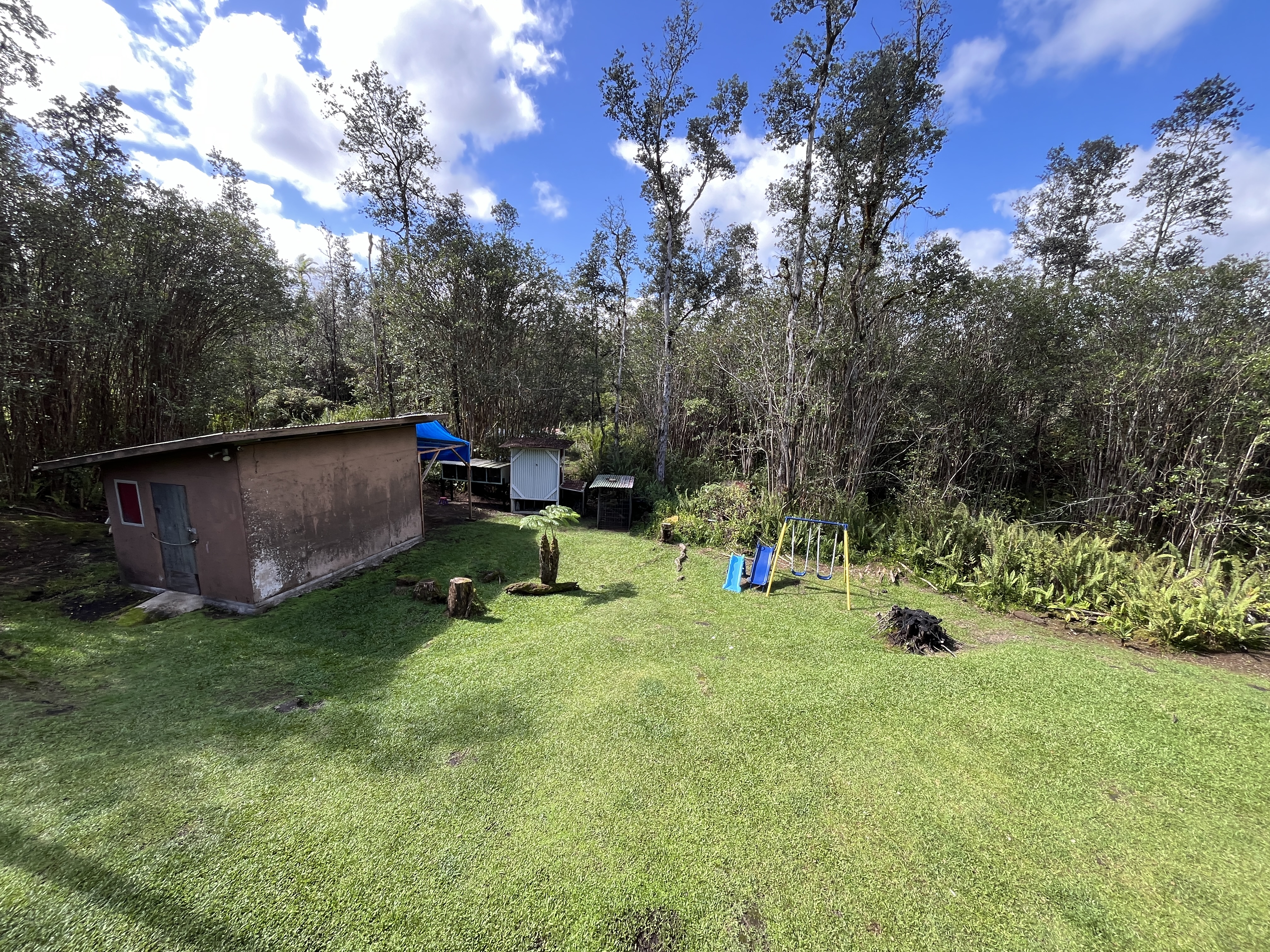 16-1088 Opeapea Road Kurtistown, HI 96760 - Photo 26 of 29 a view of backyard with a barn and a large tree