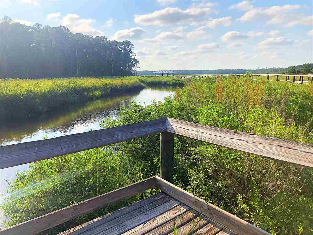 18706 Treasure Oaks Road Gulf Shores, AL 36542 - Photo 11 of 17