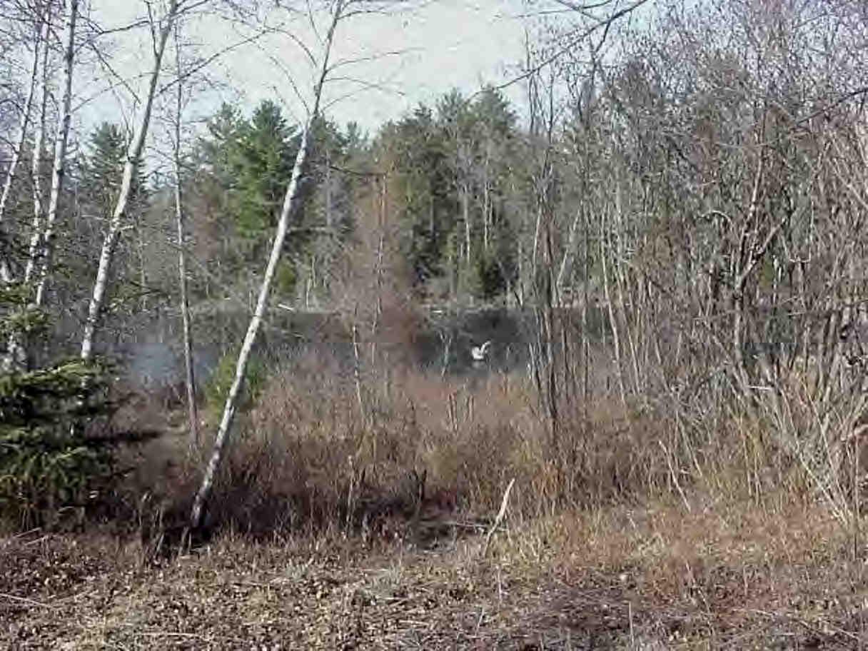 283 George Schnopp Road Hinsdale, MA 01235 - Photo 2 of 5 Additional Photo