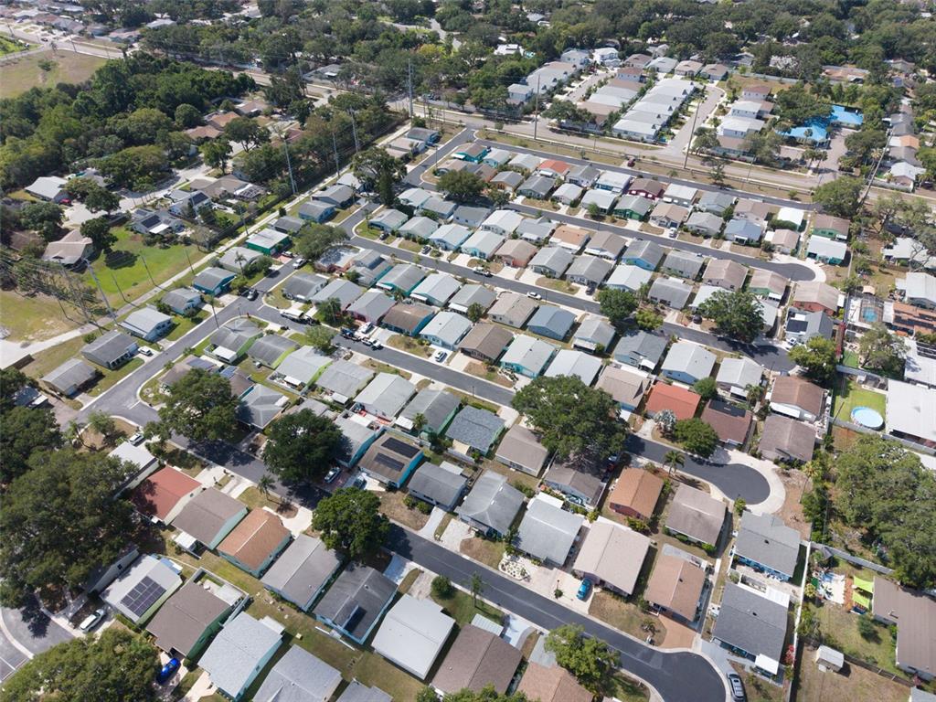 1009 Crane Court Dunedin, FL 34698 - Photo 48 of 63