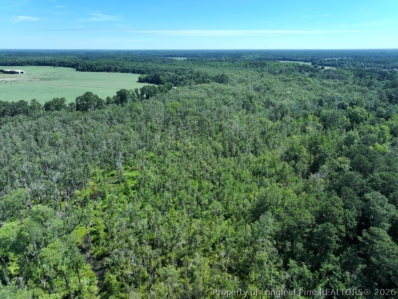 Yarborough Road Parkton, NC 28371 - Photo 5 of 13