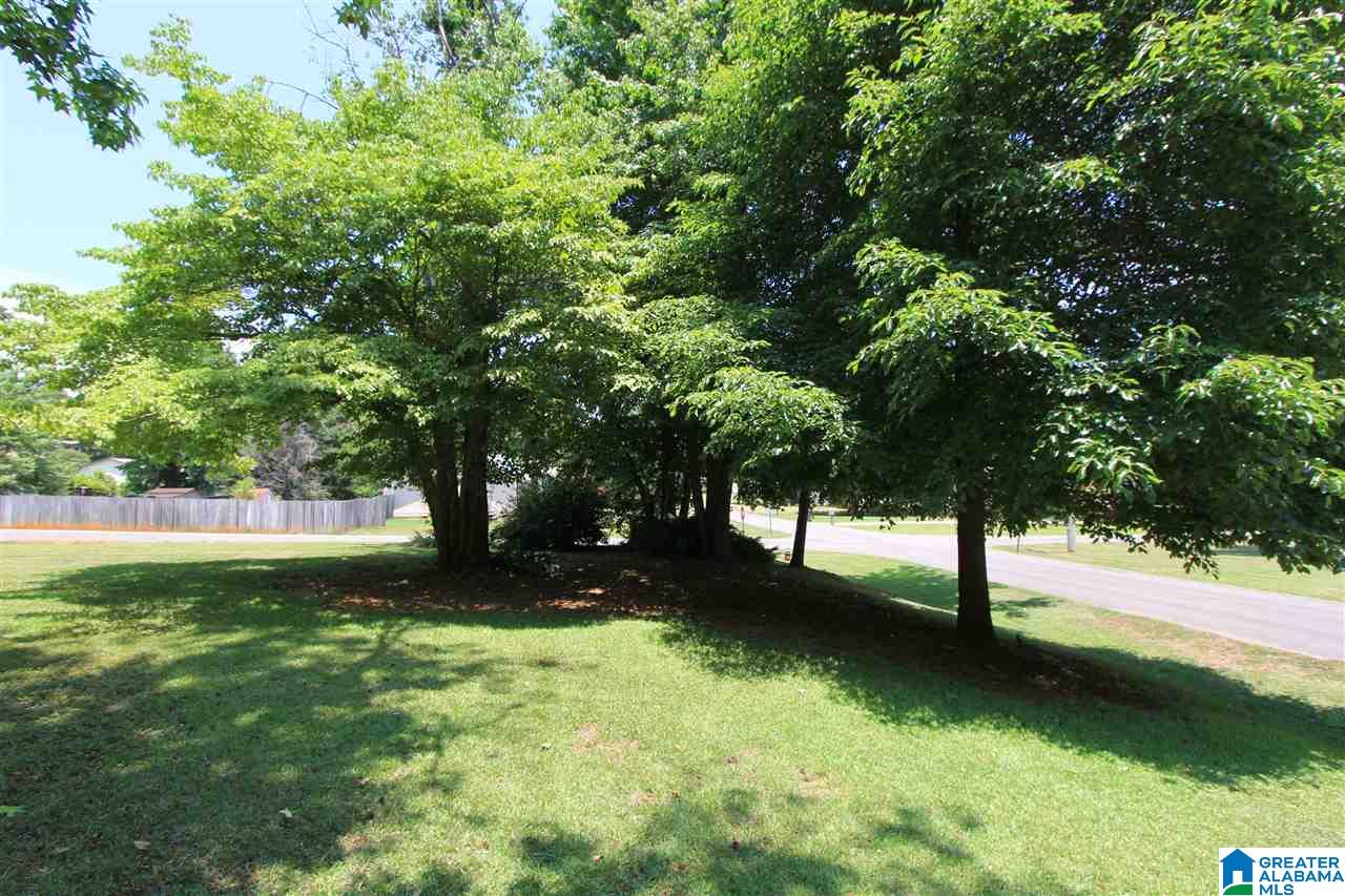 3450 Rocky Ridge Road Oxford, AL 36203 - Photo 36 of 46