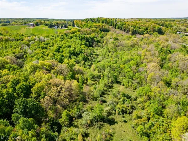 11154 Shetler Avenue Southwest, Unit 4, Bolivar, OH 44612