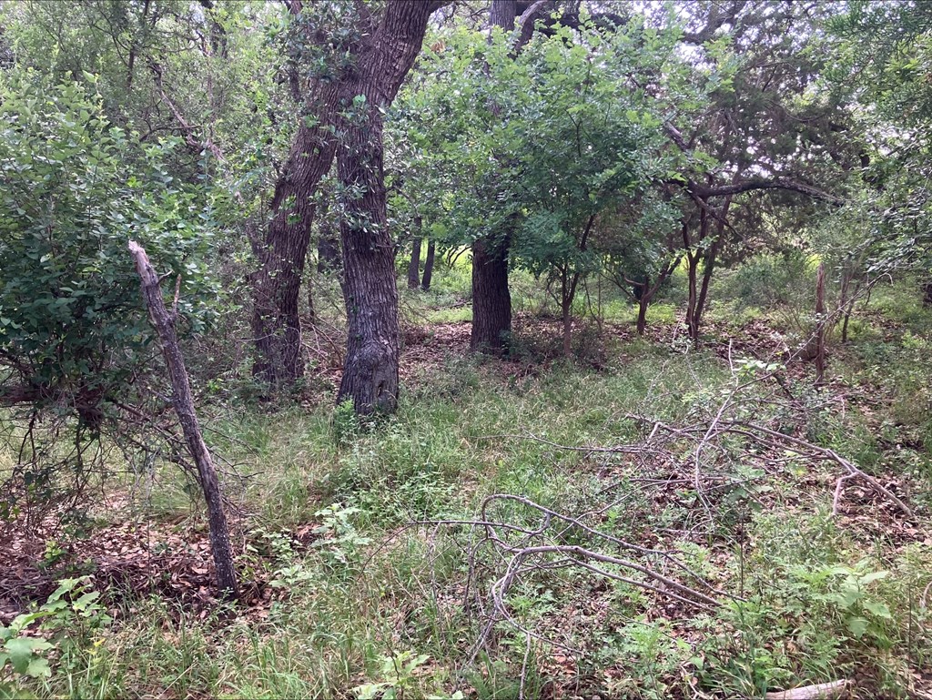 4605 West Ranch Road Mason, TX 76856 - Photo 9 of 26