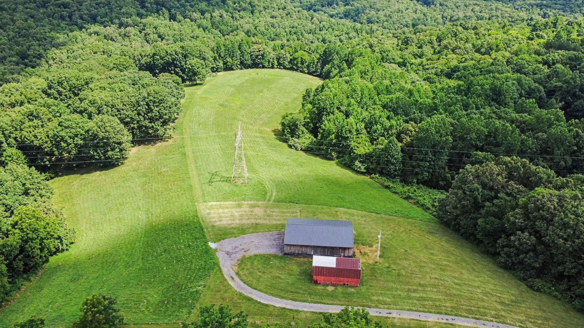 609 Stacy Road White Bluff, TN 37187 - Photo 13 of 36