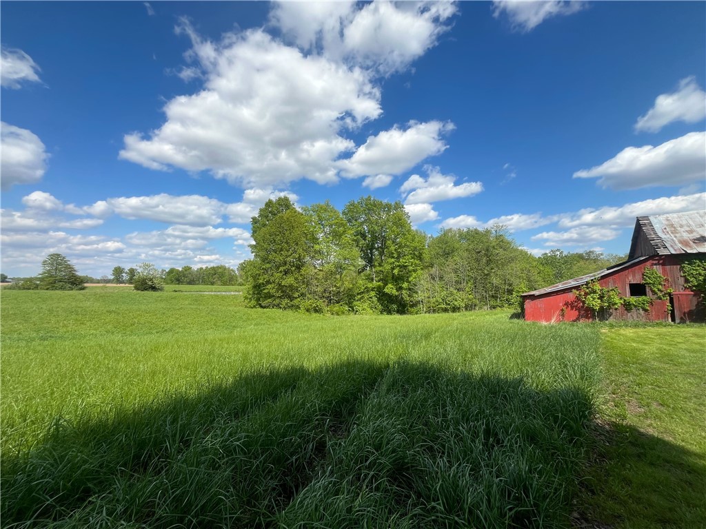 10828 North Grand Turn Road Marshall, IL 62441 - Photo 4 of 12