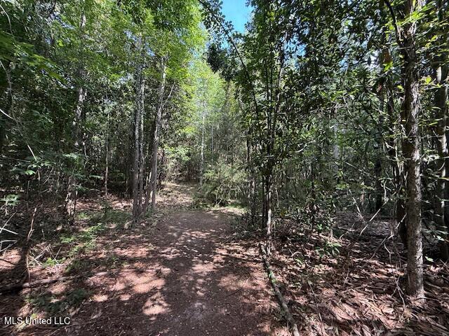 401 Montgomery Road Southwest Summit, MS 39666 - Photo 24 of 24 IMG_5908