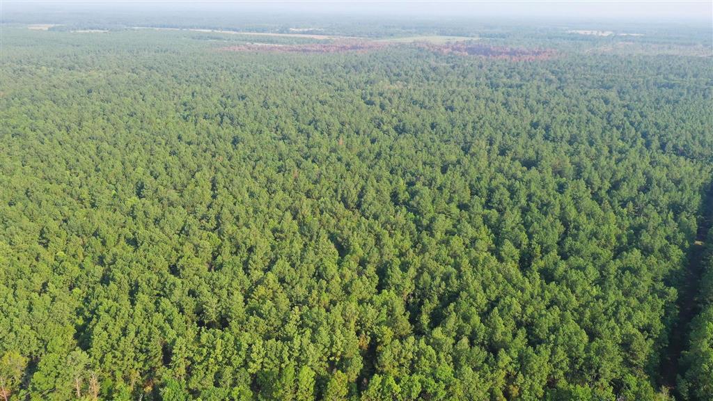 0 Planer Mill Road Deridder, LA 70634 - Photo 2 of 6