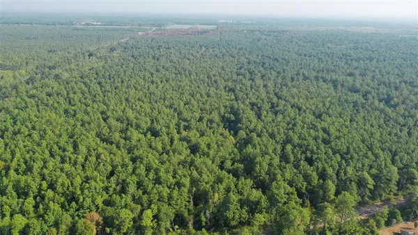 $1,153,272 | 0 Planer Mill Road, Deridder, LA 70634