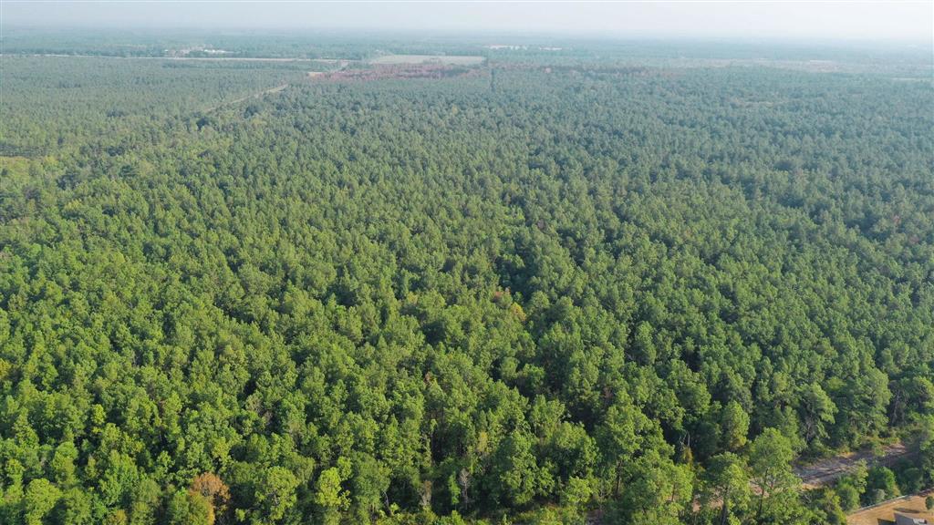 0 Planer Mill Road Deridder, LA 70634 - Photo 3 of 6