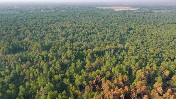 $1,153,272 | 0 Planer Mill Road, Deridder, LA 70634