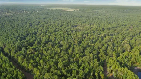 $1,153,272 | 0 Planer Mill Road, Deridder, LA 70634