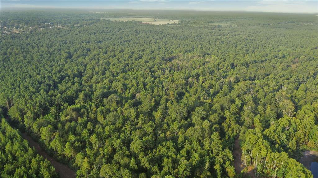 0 Planer Mill Road Deridder, LA 70634 - Photo 5 of 6