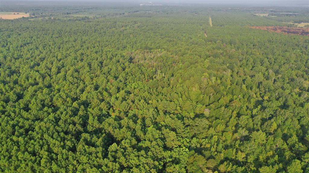 0 Planer Mill Road Deridder, LA 70634 - Photo 6 of 6