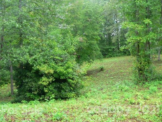 0 Sunshine Acres Road, Unit 17 Sylva, NC 28779 - Photo 5 of 7 Gallery Image 5