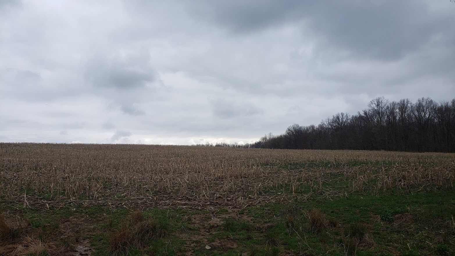 14-acres East Olive Branch Road Bloomfield, IN 47424 - Photo 3 of 11 Gallery Image 3
