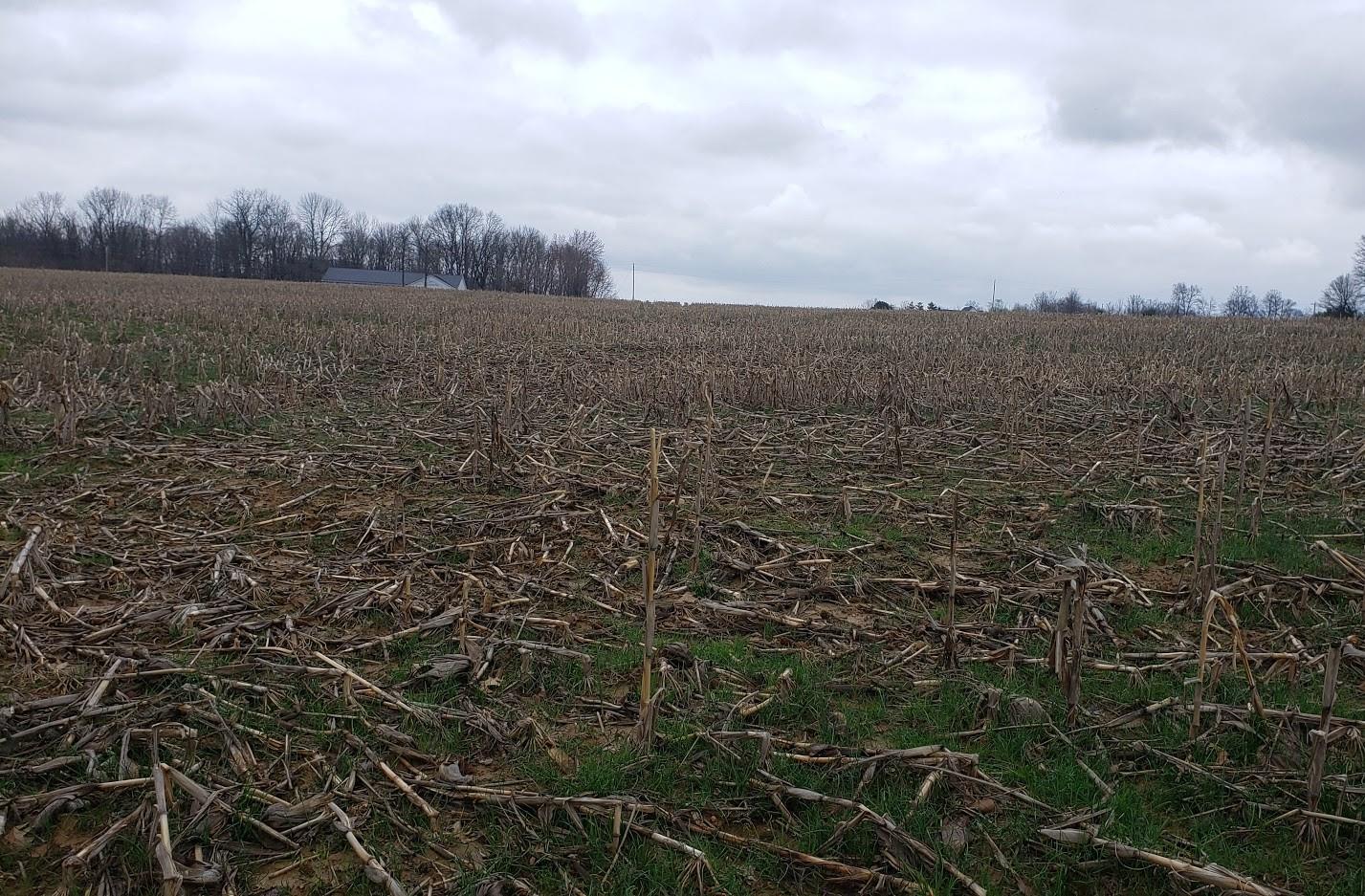 14-acres East Olive Branch Road Bloomfield, IN 47424 - Photo 4 of 11 Gallery Image 4