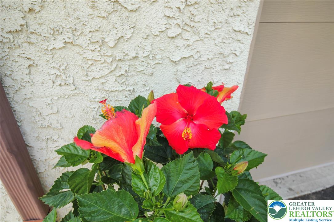 3470 Brodhead Road Bethlehem, PA 18020 - Photo 78 of 84 Vibrant hibiscus blooms add a splash of color against the textured exterior of this charming residence.