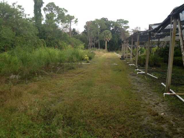 13850 Southeast Ranchland Road Hobe Sound, FL 33455 - Photo 1 of 8 Primary Photo