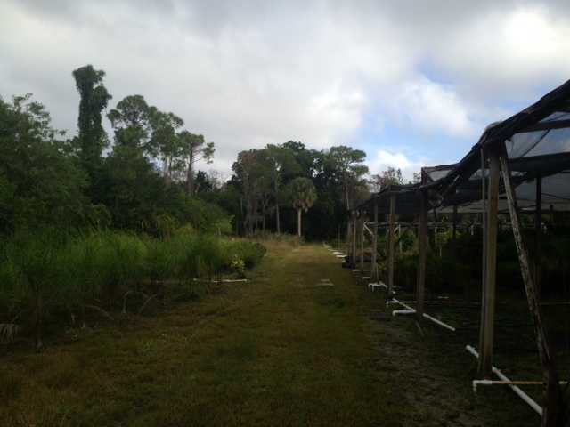 13850 Southeast Ranchland Road Hobe Sound, FL 33455 - Photo 4 of 8 Additional Photo