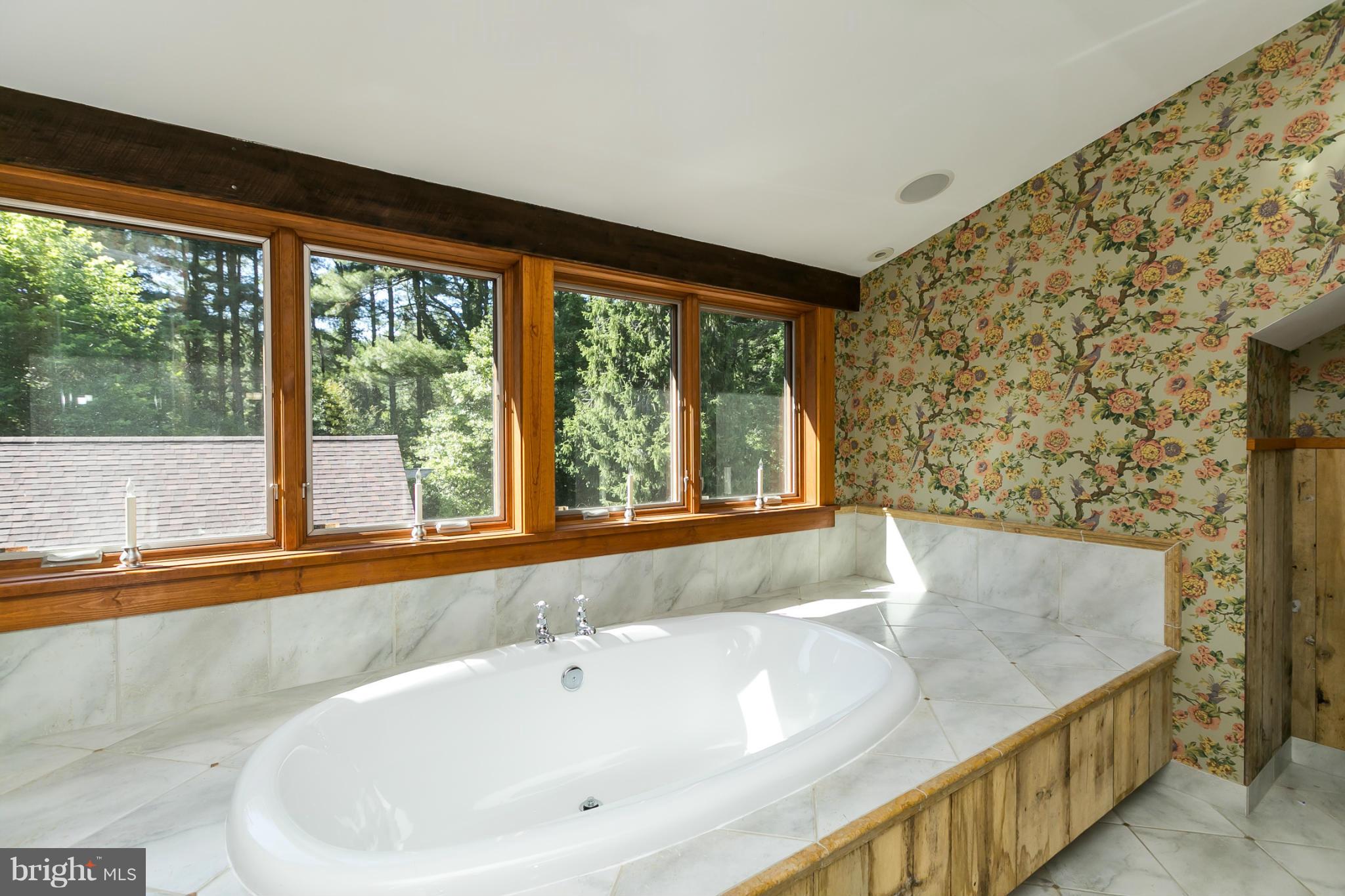 16706 Remare Road Monkton, MD 21111 - Photo 14 of 24 Bath (Master)
