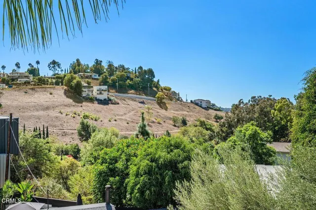 a view of a backyard