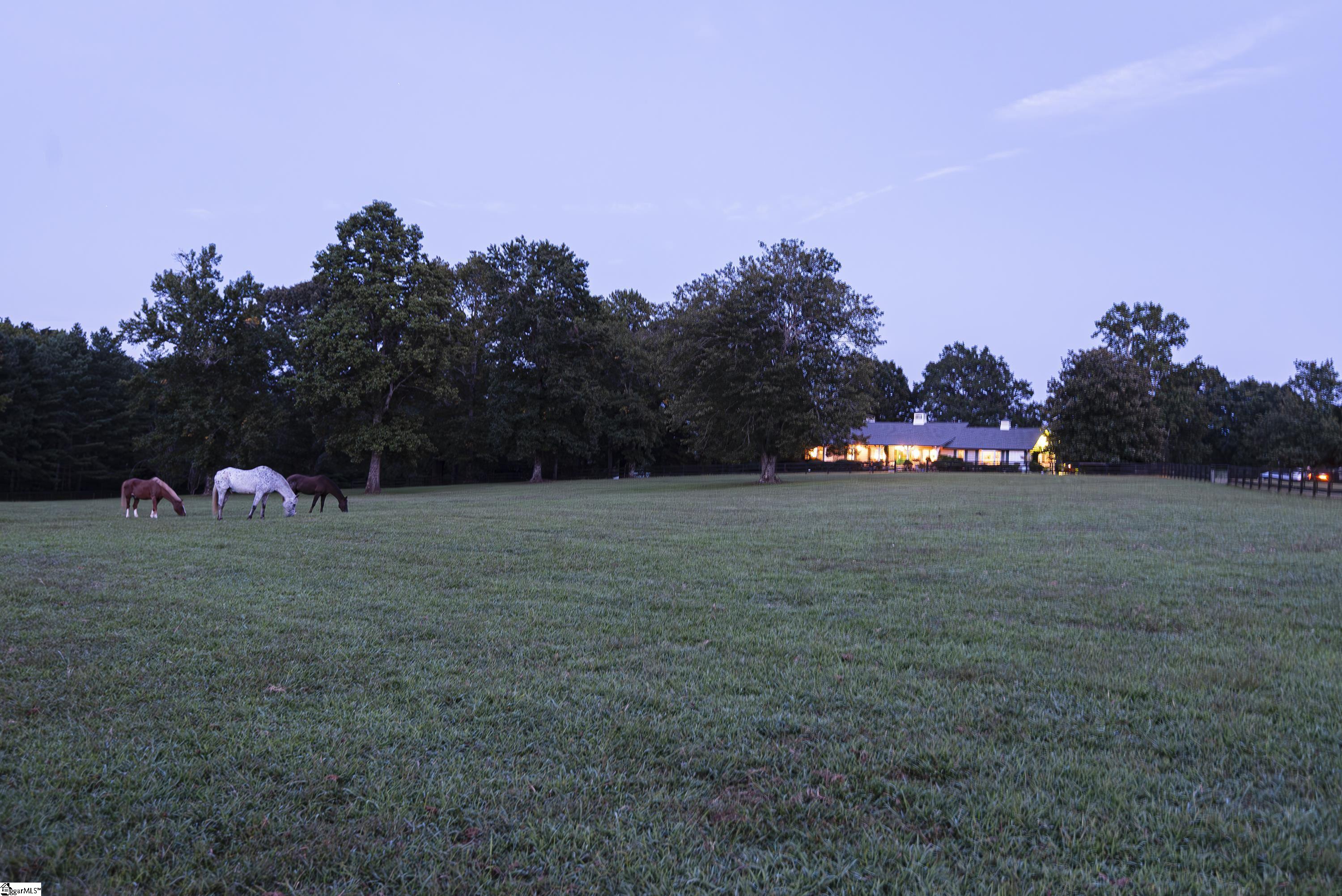 319 South 184 Landrum, SC 29356 - Photo 2 of 47