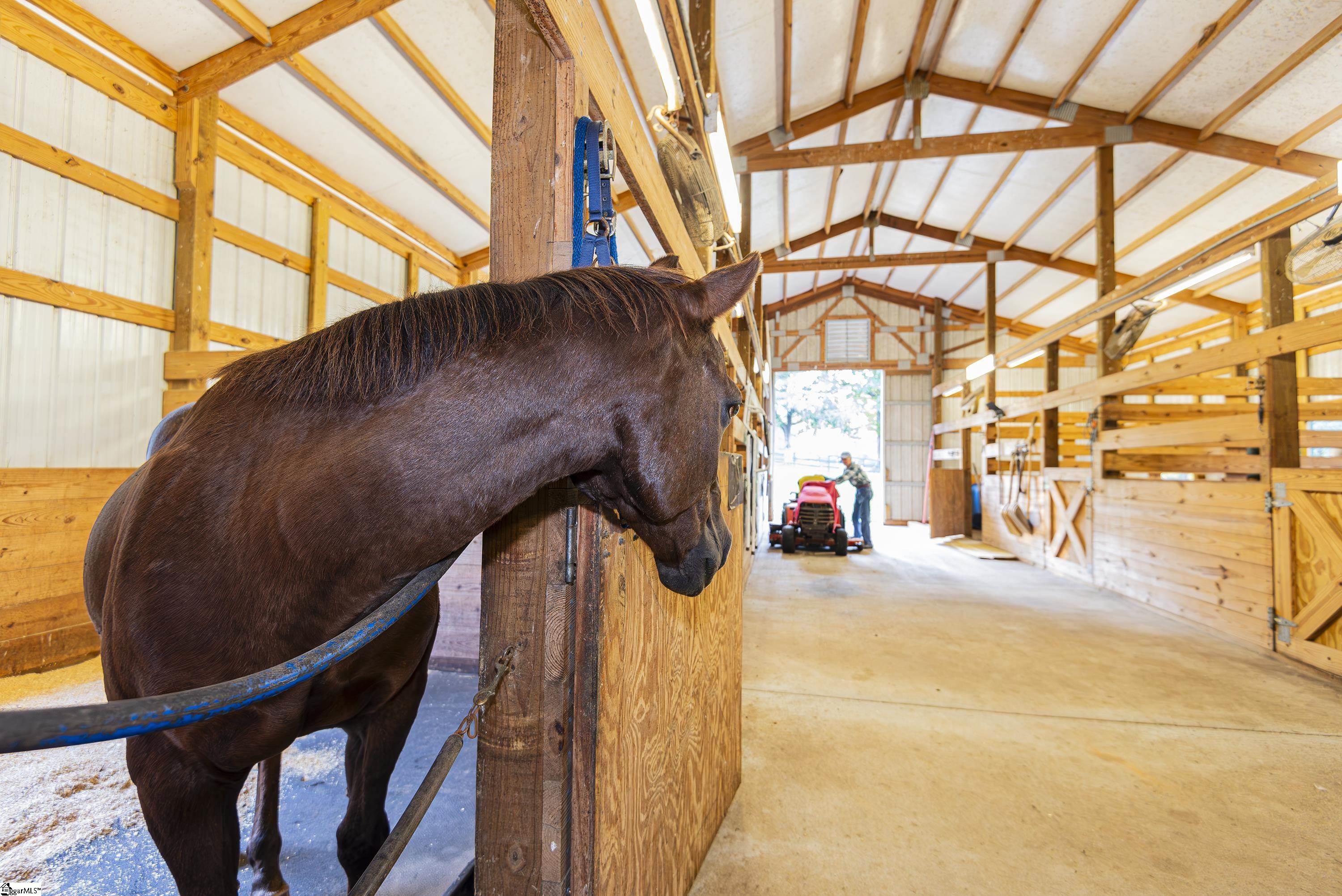 319 South 184 Landrum, SC 29356 - Photo 34 of 47