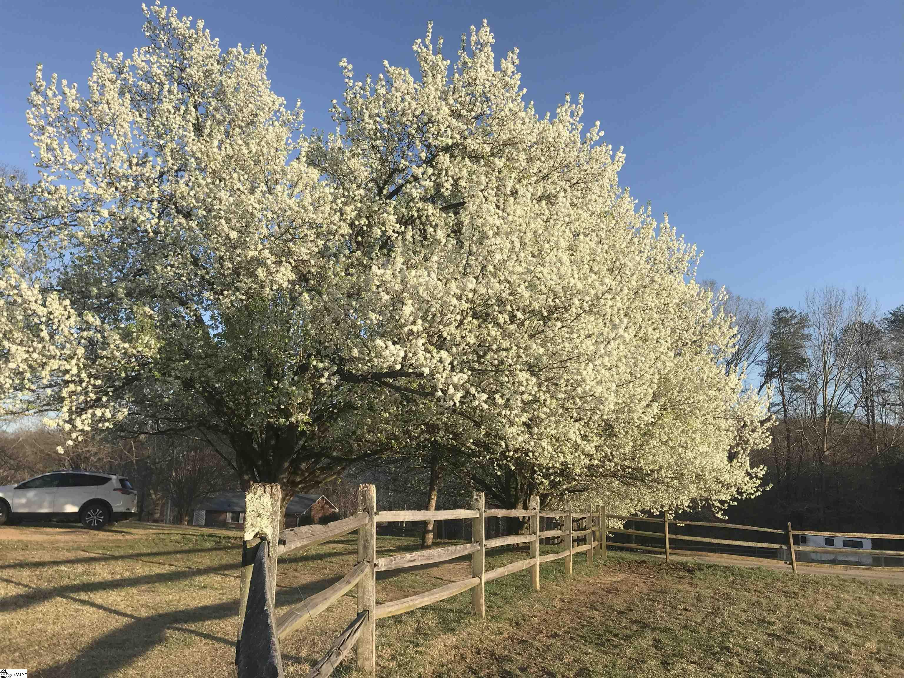 319 South 184 Landrum, SC 29356 - Photo 5 of 47