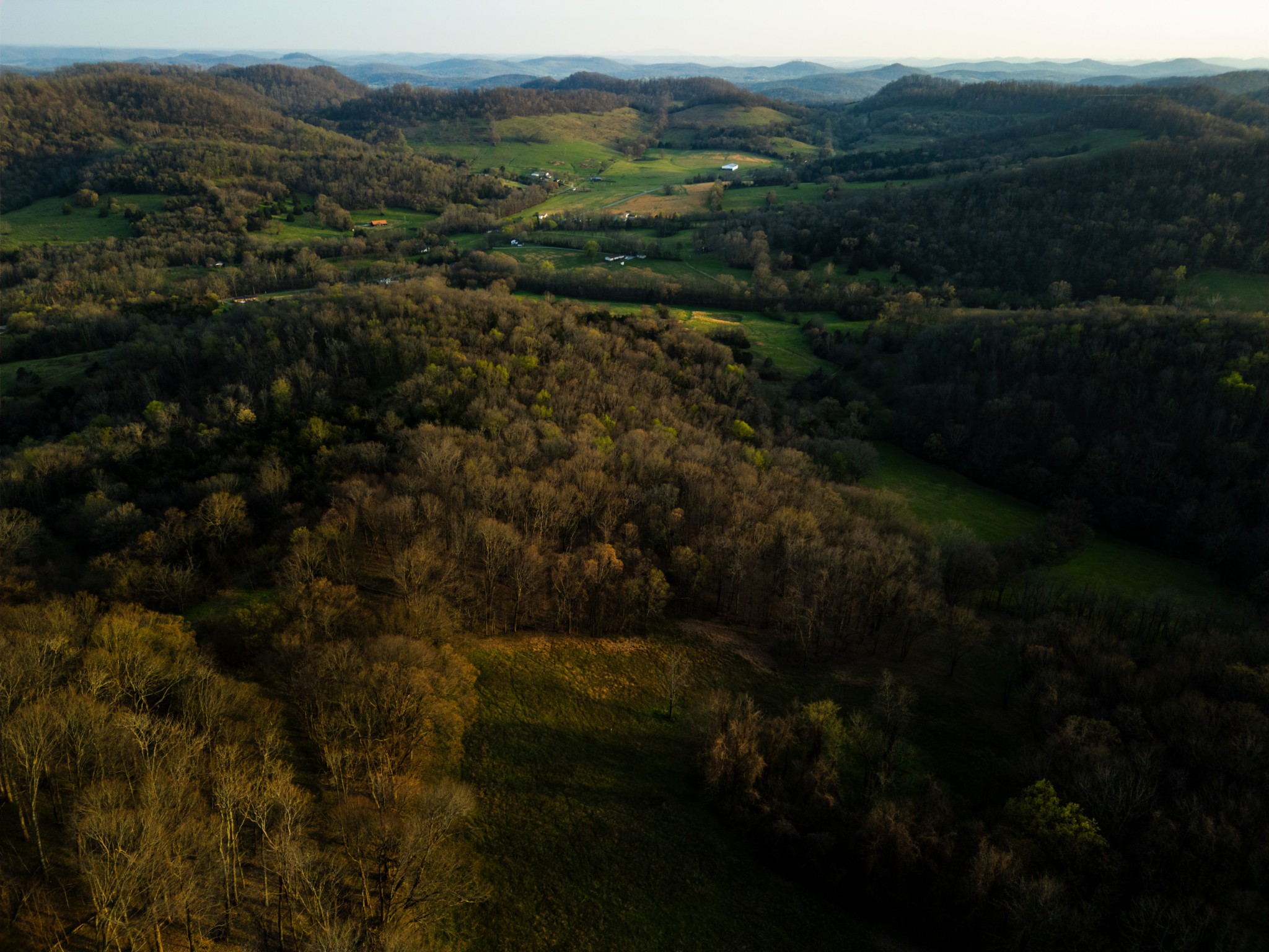 346 Hogan's Creek Road Carthage, TN 37030 - Photo 11 of 30