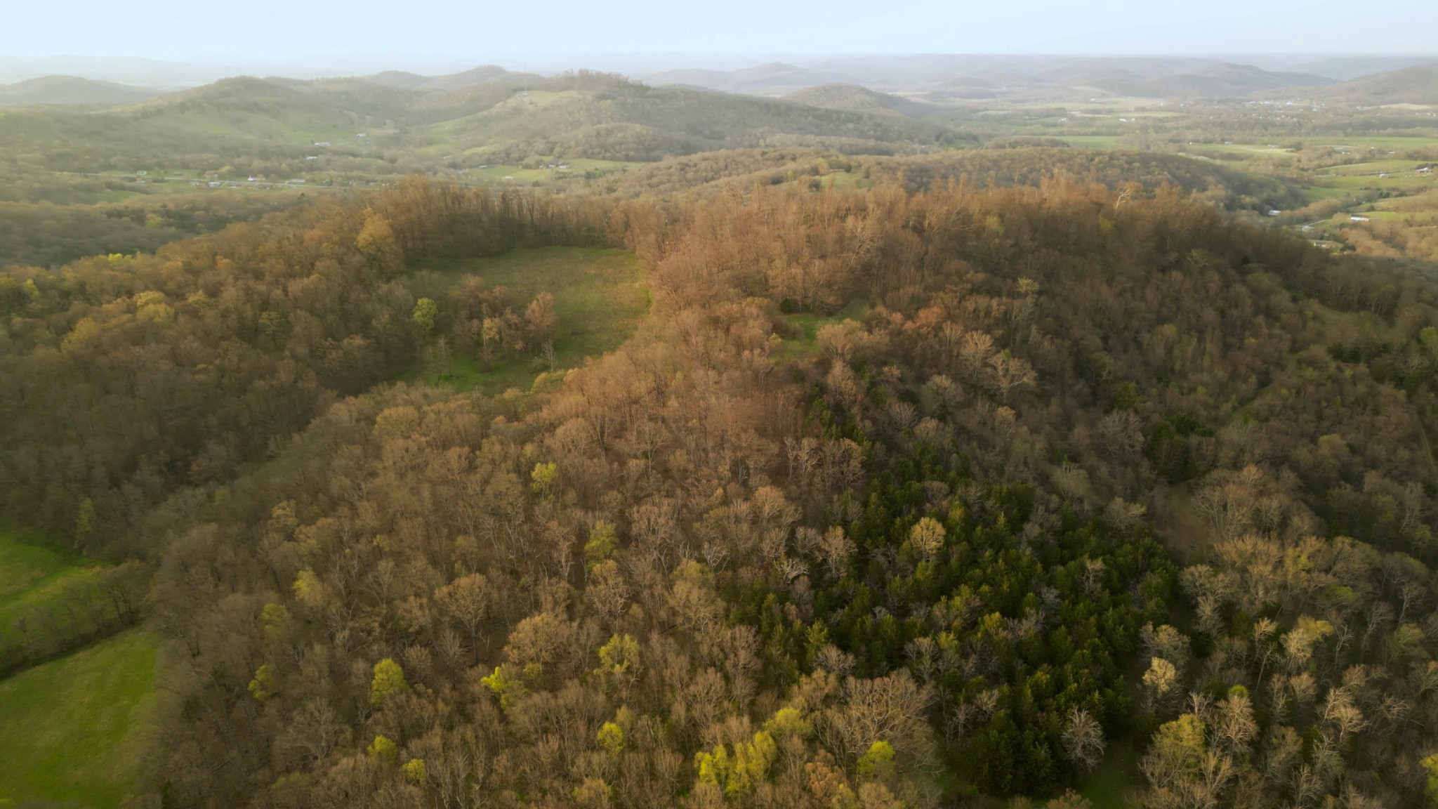 346 Hogan's Creek Road Carthage, TN 37030 - Photo 8 of 30