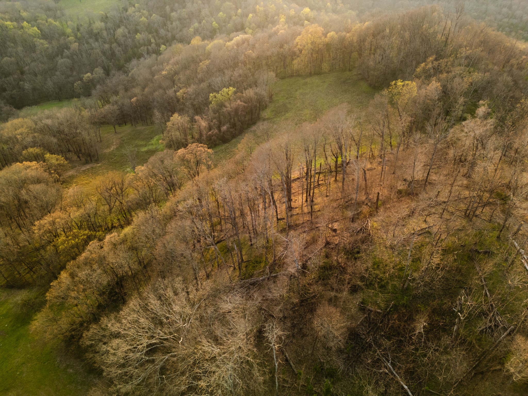 346 Hogan's Creek Road Carthage, TN 37030 - Photo 9 of 30