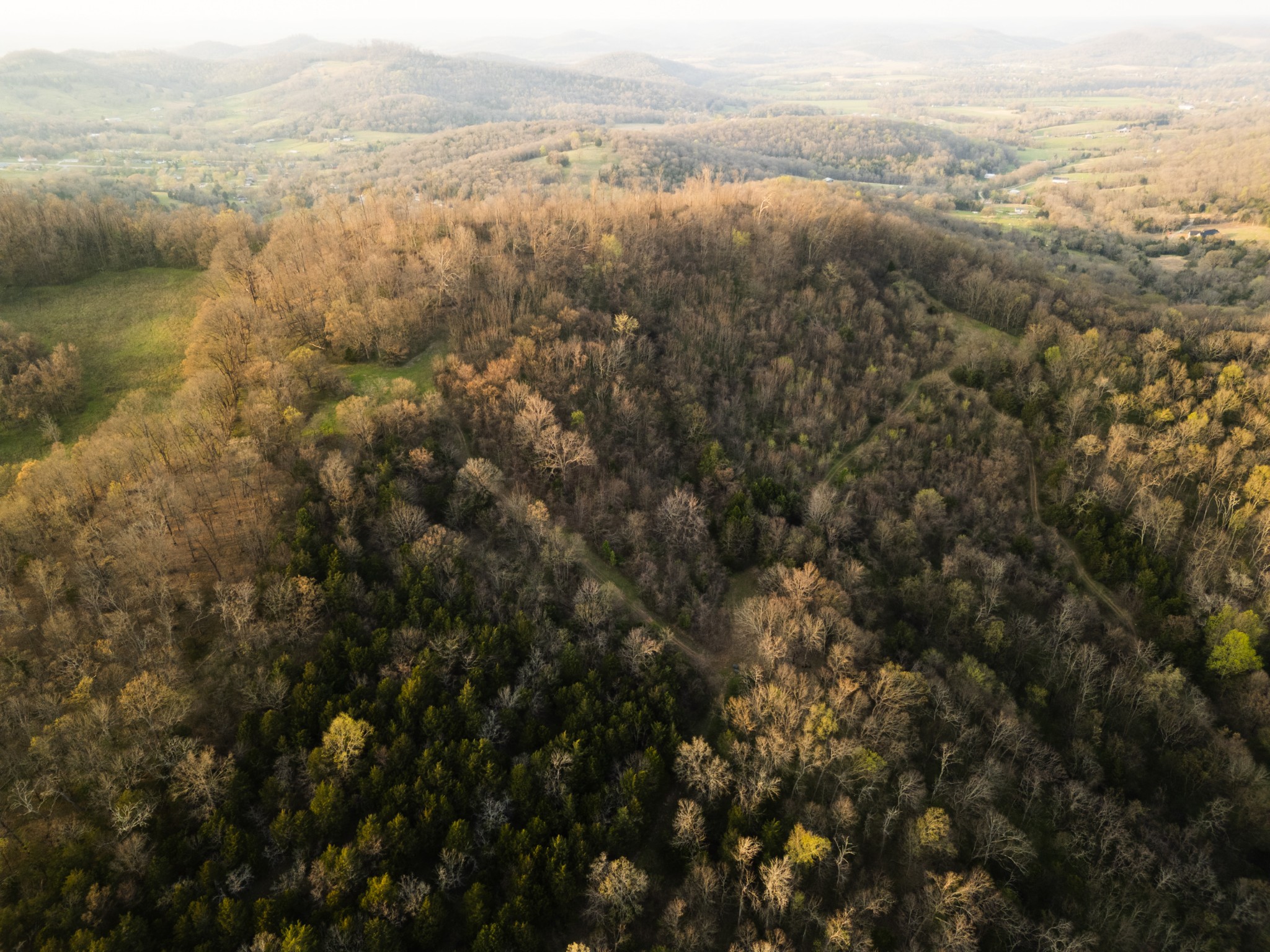 346 Hogan's Creek Road Carthage, TN 37030 - Photo 10 of 30