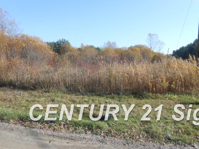 0 Fisher Road Fort Gratiot, MI 48059 - Photo 1 of 5