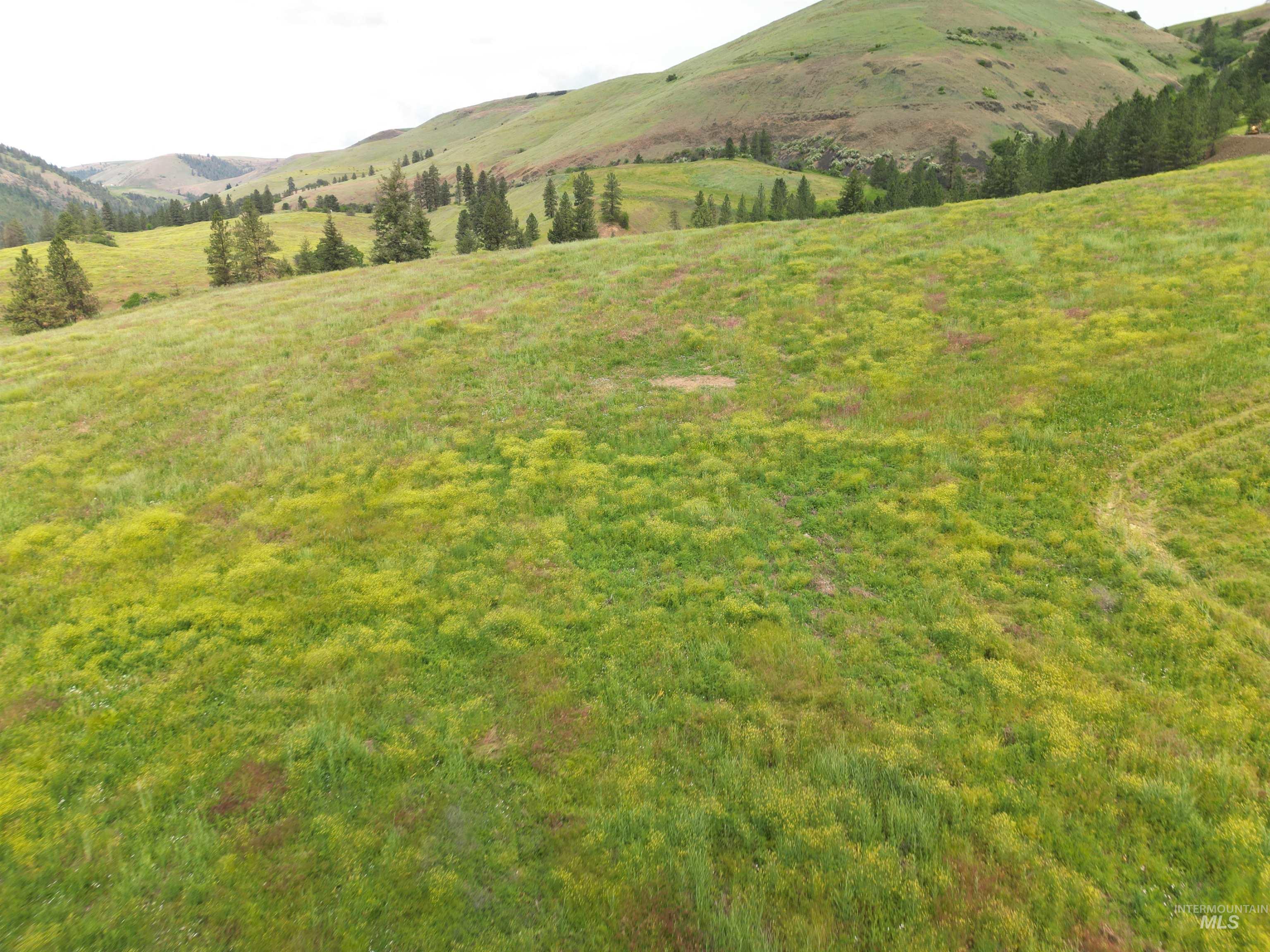0 American Ridge Road Kendrick, ID 83537 - Photo 16 of 21