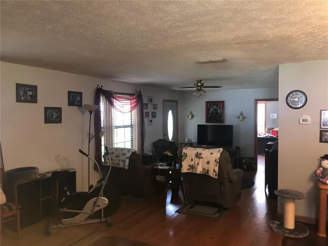 a living room with furniture flowerpot and wooden floor