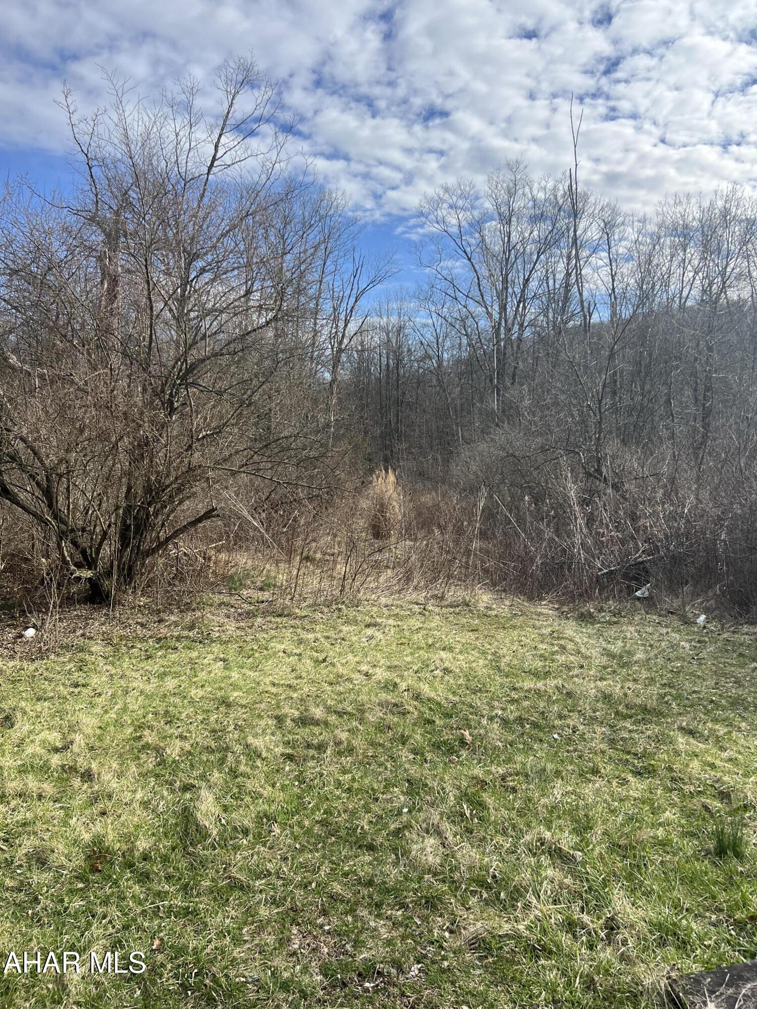 0 Riggles Gap Road Altoona, PA 16601 - Photo 1 of 3