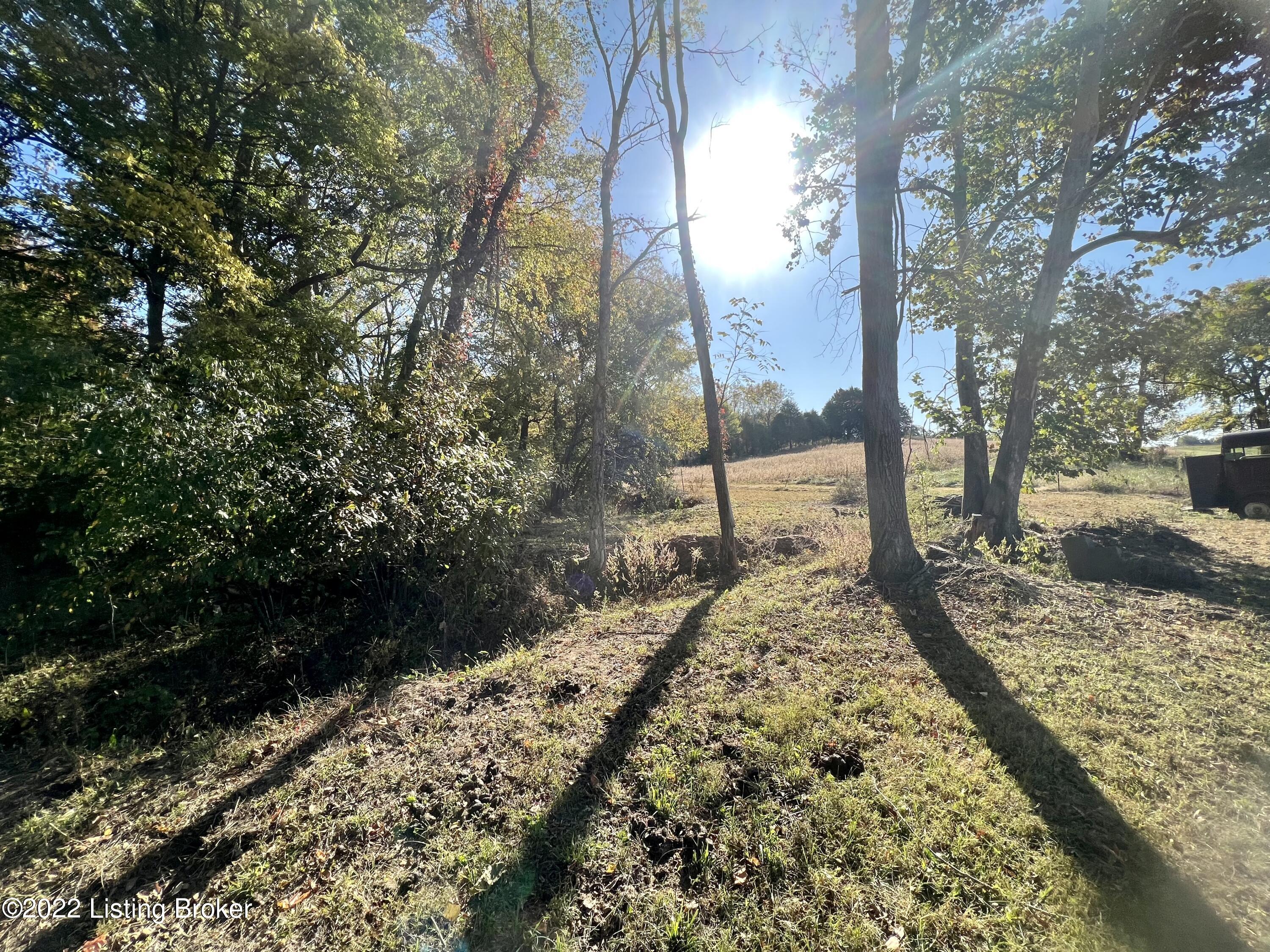 205 Alvin Brooks Road Buffalo, KY 42716 - Photo 35 of 41 1F46FA85-ACC6-49CD-AA0F-259E3ED35FF9