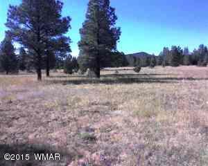 Lot A Thunderhorse Road Pinetop, AZ 85935 - Photo 1 of 3