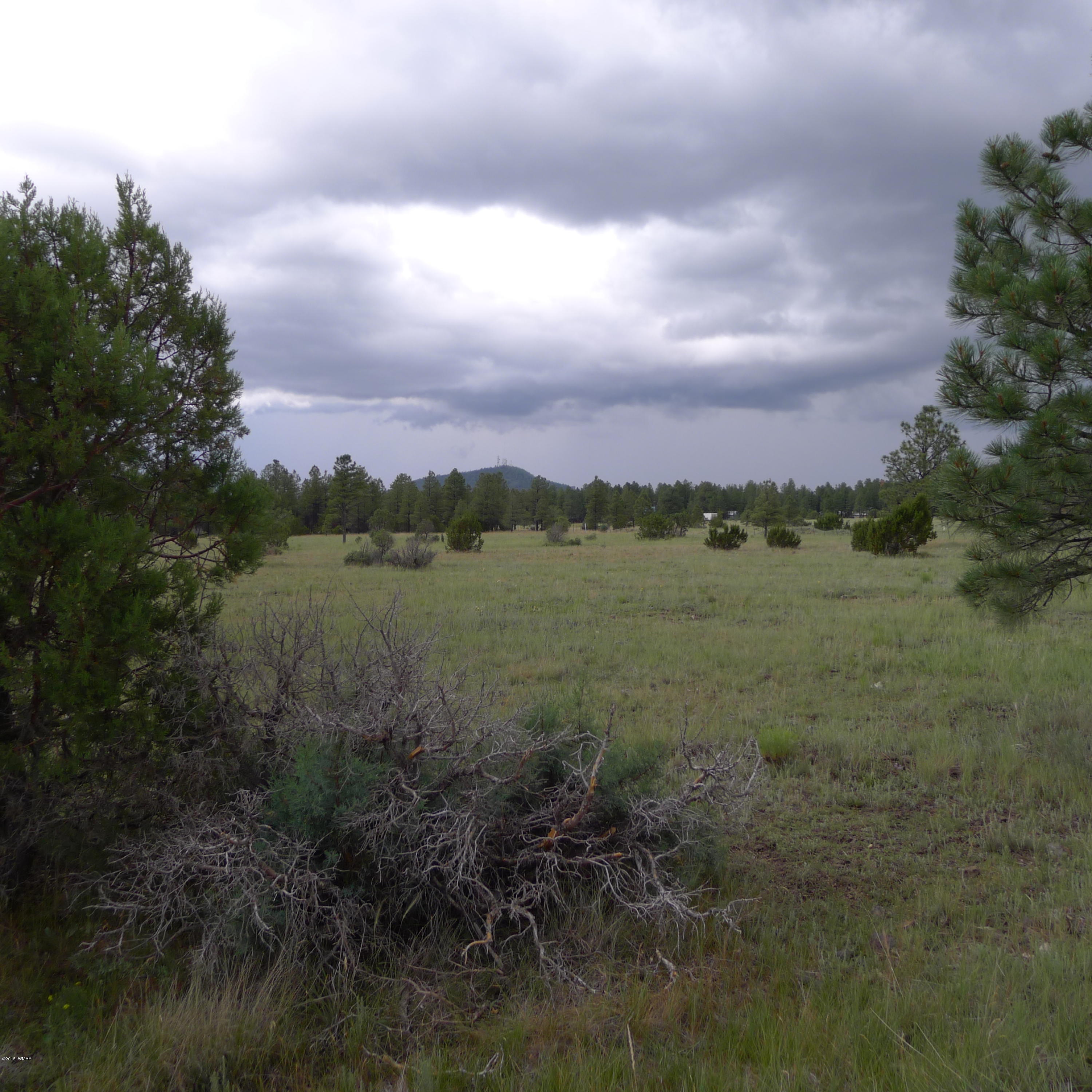 Lot A Thunderhorse Road Pinetop, AZ 85935 - Photo 2 of 3