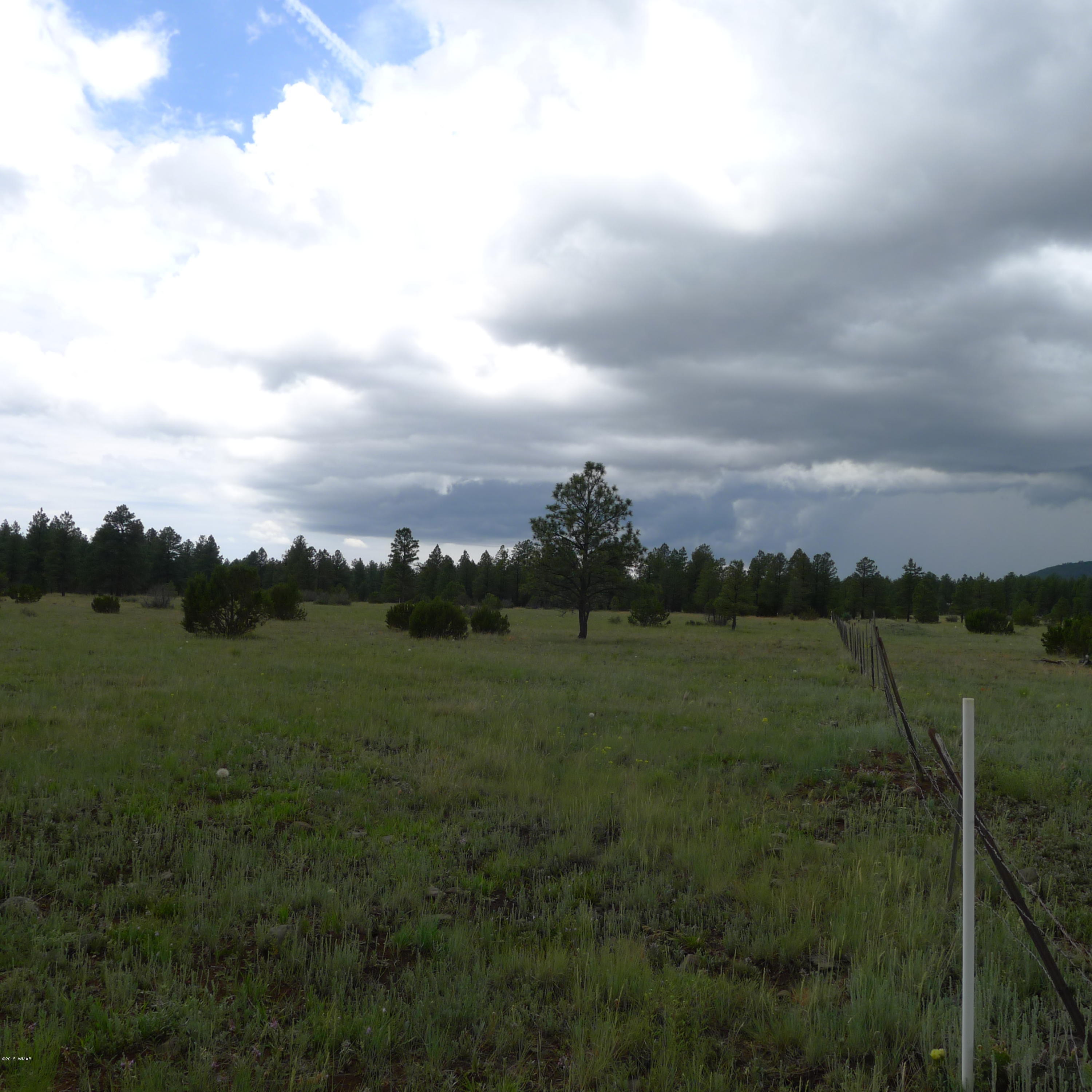Lot A Thunderhorse Road Pinetop, AZ 85935 - Photo 3 of 3